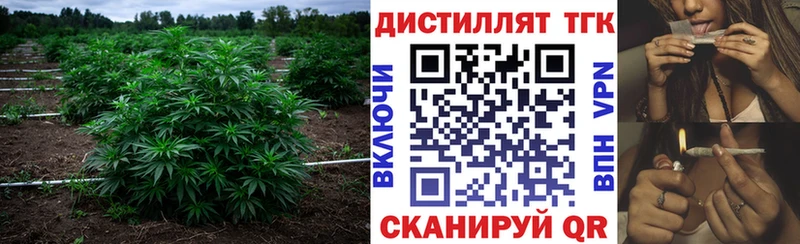 купить наркоту  Туран  кракен вход  Дистиллят ТГК гашишное масло 