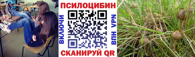 Псилоцибиновые грибы прущие грибы Туран